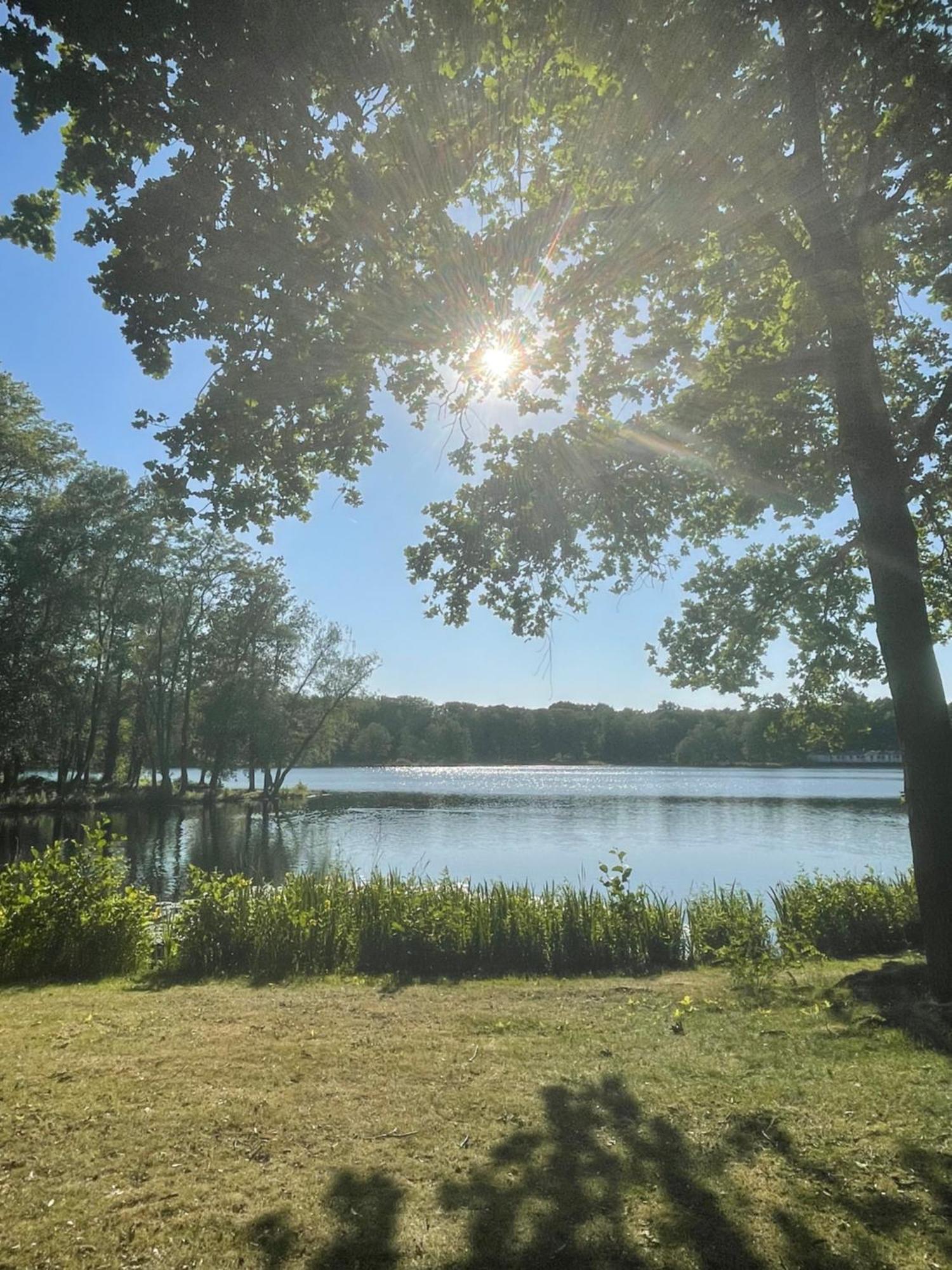 Boshuisje Pinus Sonnevijver Residences Lanaken Exterior foto