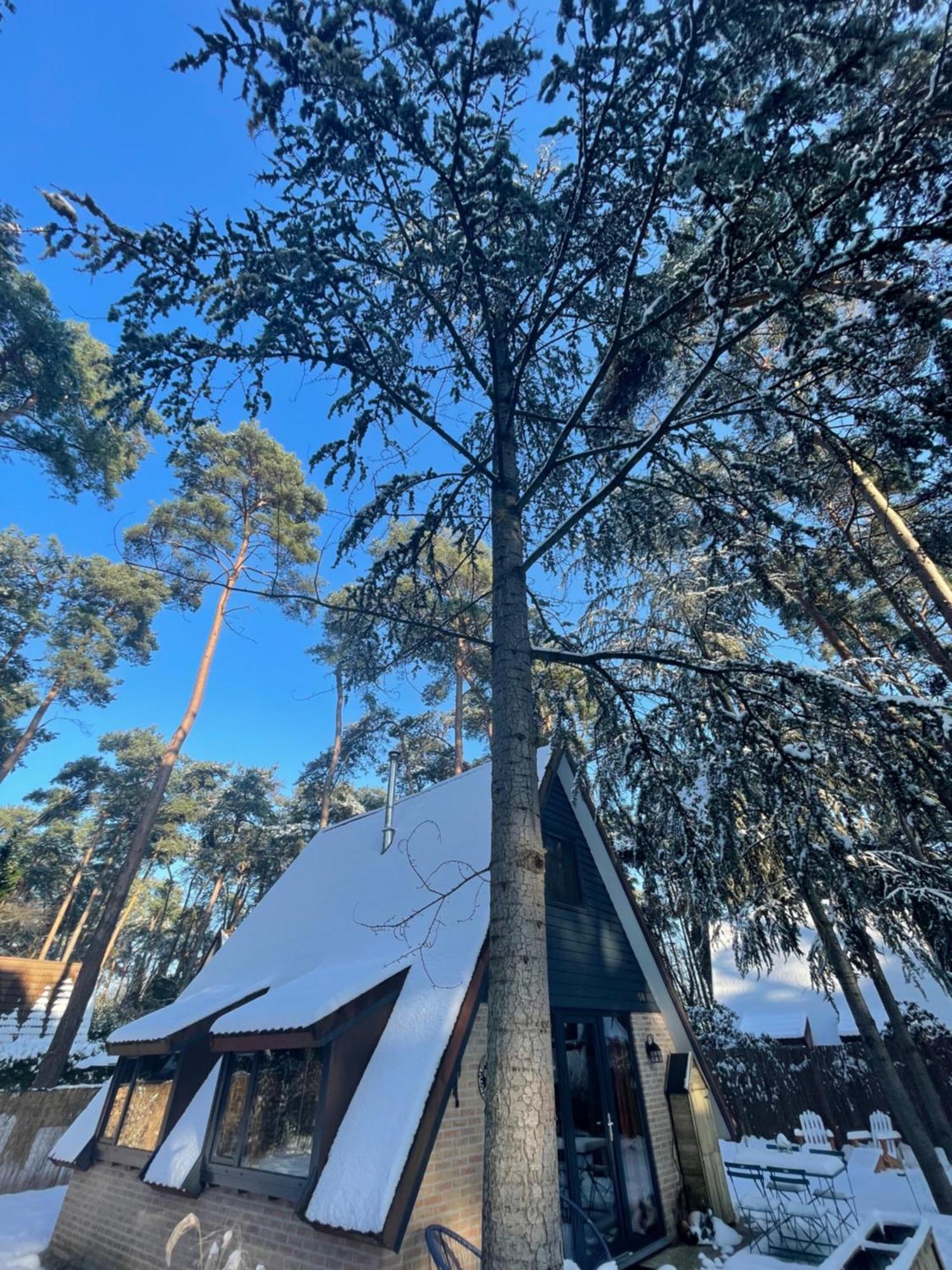 Boshuisje Pinus Sonnevijver Residences Lanaken Exterior foto